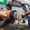 Martin Komarek of Czech Republic in action during the  Stihl Timbersports Championships 2011 in Roermond, Netherlands today on September 3rd. The event was won by Jason Wynyard of New Zealand, followed by Christophe Geissler of Switzerland and Martin Komarek of Czech Republic.
Free image for editorial usage only: Photo by Sebastian Marko for Global Newsroom
FOR EDITORIAL USE ONLY.
For more pictures, videos and TV material go to www.global-newsroom.com. info +43 664 380 50 53